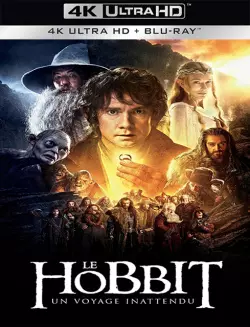 Le Hobbit : un voyage inattendu